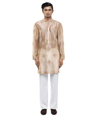 Beige embroidered organza kurta set 2