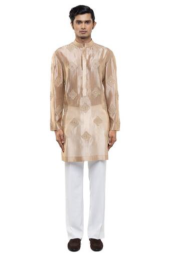 Beige embroidered organza kurta set