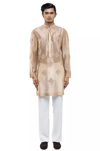 Beige embroidered organza kurta set