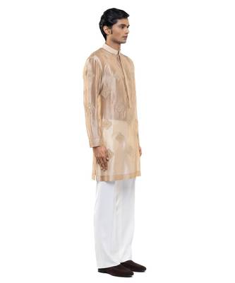 Beige embroidered organza kurta set 3