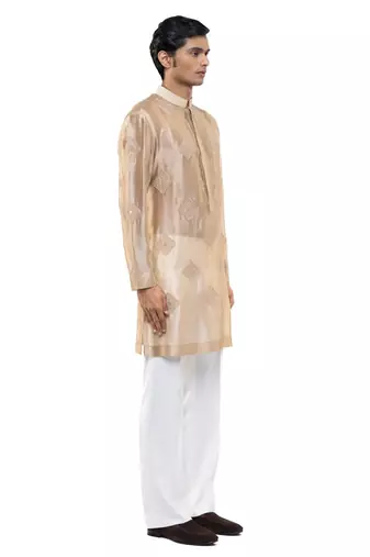 Beige embroidered organza kurta set