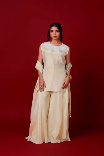 Ivory embroidered tissue sharara