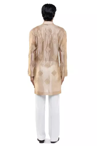 Beige embroidered organza kurta set
