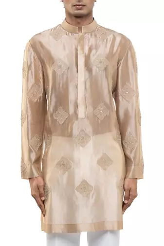 Beige embroidered organza kurta set