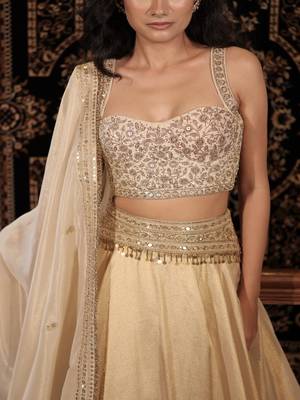 Ivory embroidered tissue Lehenga 4