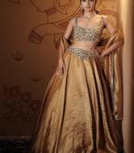 gold embroidered tissue Lehenga