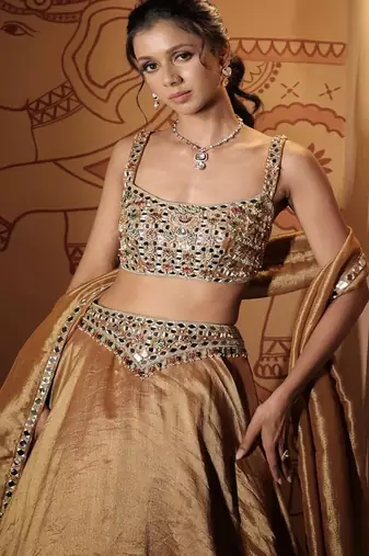 gold embroidered tissue Lehenga