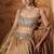 gold embroidered tissue Lehenga
