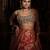red embroidered silk Lehenga