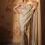 Pink plain tissue  saree