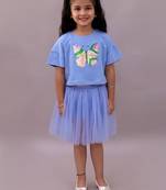 Blue embroidered cotton co ord set