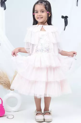 Pink embroidered net dress