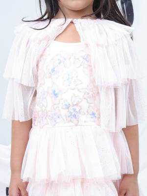 Pink embroidered net dress 2