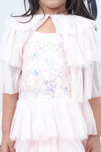 Pink embroidered net dress