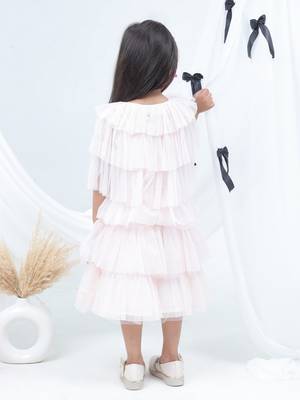 Pink embroidered net dress 3