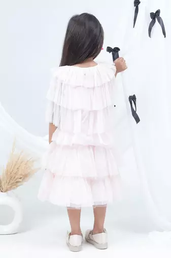 Pink embroidered net dress