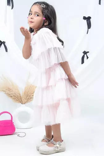 Pink embroidered net dress