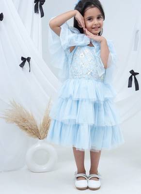 Blue embroidered net dress 1