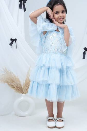 Blue embroidered net dress