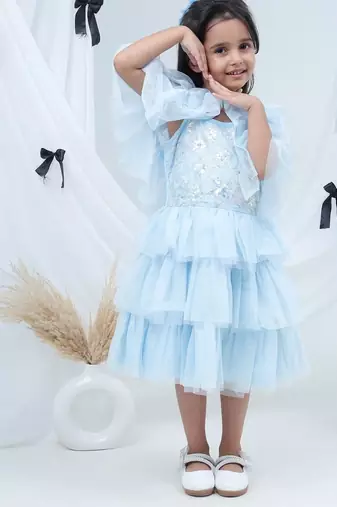 Blue embroidered net dress