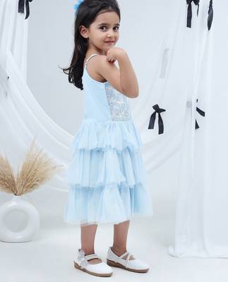 Blue embroidered net dress 2