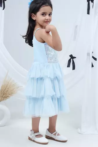 Blue embroidered net dress