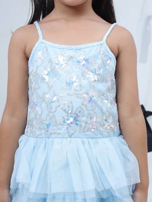 Blue embroidered net dress 3