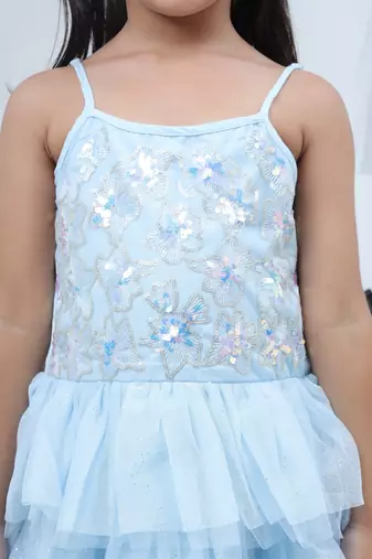 Blue embroidered net dress