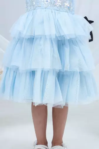 Blue embroidered net dress