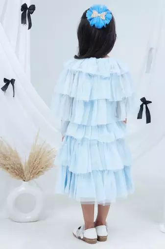 Blue embroidered net dress