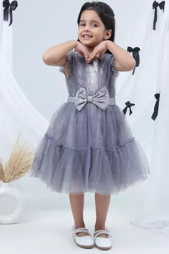 Grey embroidered net dress