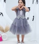 Grey embroidered net dress