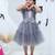 Grey embroidered net dress