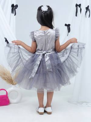 Grey embroidered net dress 2