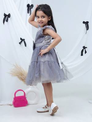Grey embroidered net dress 3