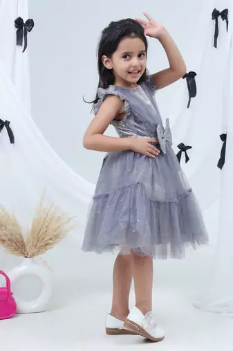 Grey embroidered net dress