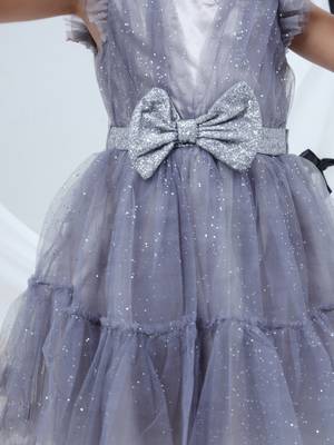 Grey embroidered net dress 5