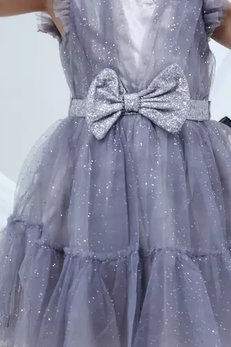 Grey embroidered net dress