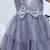 Grey embroidered net dress