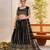Black Net With embroidered party wear lehenga choli