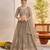 Matellicgrey Net With embroidered party wear lehenga choli