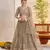 Matellicgrey Net With embroidered party wear lehenga choli