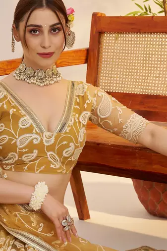 light golden Net With embroidered party wear lehenga choli