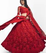 Women's Red zarkan and dori embroidered net lehenga choli