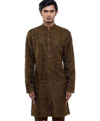 Brown embroidered organza kurta set 3