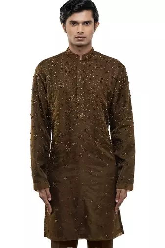 Brown embroidered organza kurta set