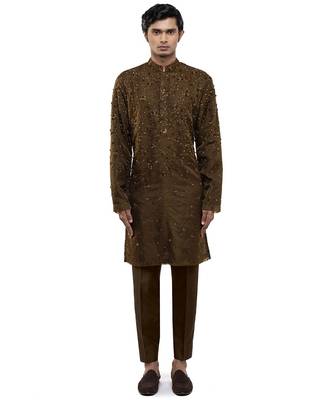 Brown embroidered organza kurta set 4