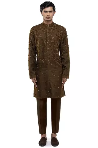 Brown embroidered organza kurta set