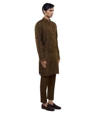 Brown embroidered organza kurta set 5