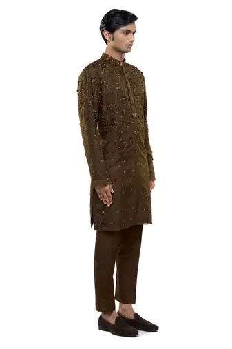 Brown embroidered organza kurta set
